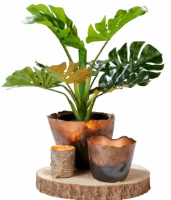 ALBA Bougie Naturel