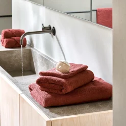 B-LUX Tapis De Bain Bordeaux