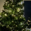 BOA Guirlande Lumineuse 700 Leds Blanc