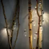 BULB Guirlande Lumineuse Solaire 10 Leds Transparent