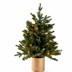 CEDER Branche Décorative Vert
