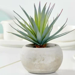 CEMENT Plante Grasse Artificielle Gris