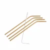 FANCY Pailles à Cocktail Avec Brosse Argent