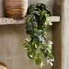 FITTONIA Guirlande Feuilles Vert