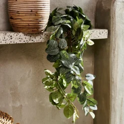 FITTONIA Guirlande Feuilles Vert