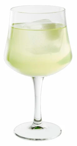 GIN Verre 65 CL Transparent