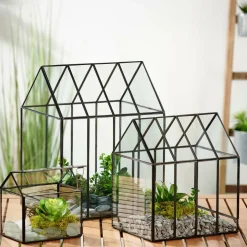 GREENHOUSE Terrarium Transparent