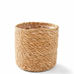 HERBA Herbe En Pot Vert