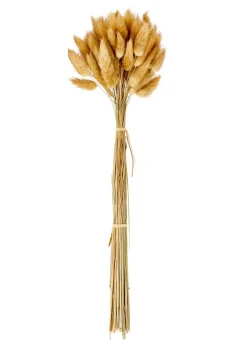 JULIA Vase Brun