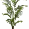 KWAI Palmier Vert