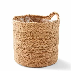 KWAI Palmier Vert