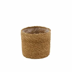 KWAI Palmier Vert
