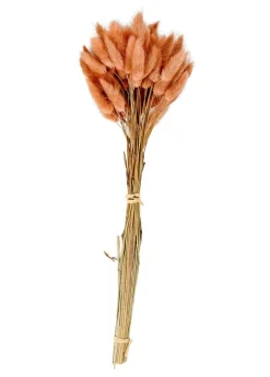 LAGURUS Lagure Ovale Naturel