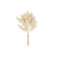 MINA Déco Séchée Blanc