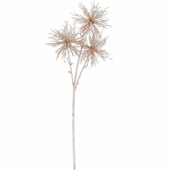 PAMPAS Tiges D'herbe Gris