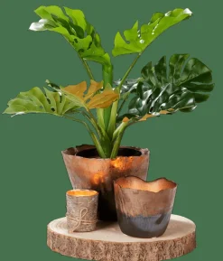 PAULO Plat Naturel