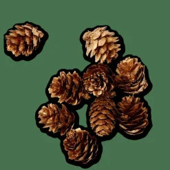 PINECONE Déco à Disperser Doré