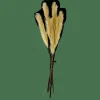 PLUME Plumes Décoratives Vert