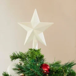 STAR Décoration Séchée