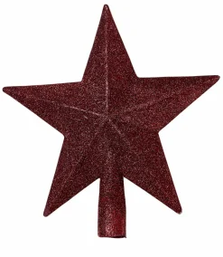 STAR Décoration Séchée