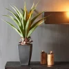 VERA Aloe Vera Vert