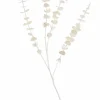 WHITE Rideau à Franges Blanc